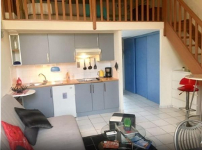 Aida - Duplex rue Bosio